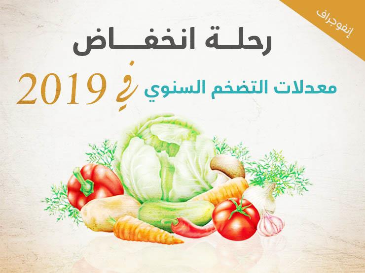 رحلة انخفاض معدلات التضخم السنوي في 2019