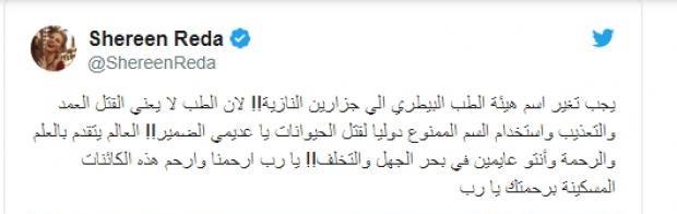 تغريدة زوجة عمرو دياب