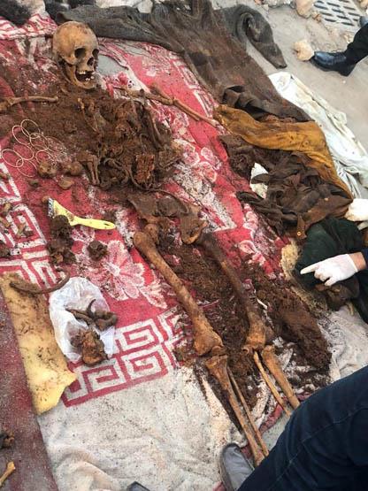 جزء من الهياكل العظمية المعثور عليها بالإسكندرية