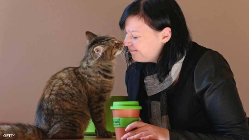 بكتيريا في القطط تزيد خطر الإصابة بفصام الشخصية عن