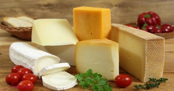   "مفيدة أم ضارة؟".. دراسة توضح تأثير تناول الجبن 