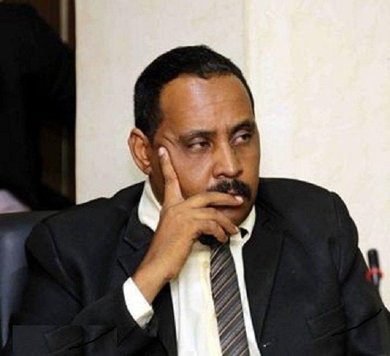 وزير الإعلام السوداني، حسن إسماعيل