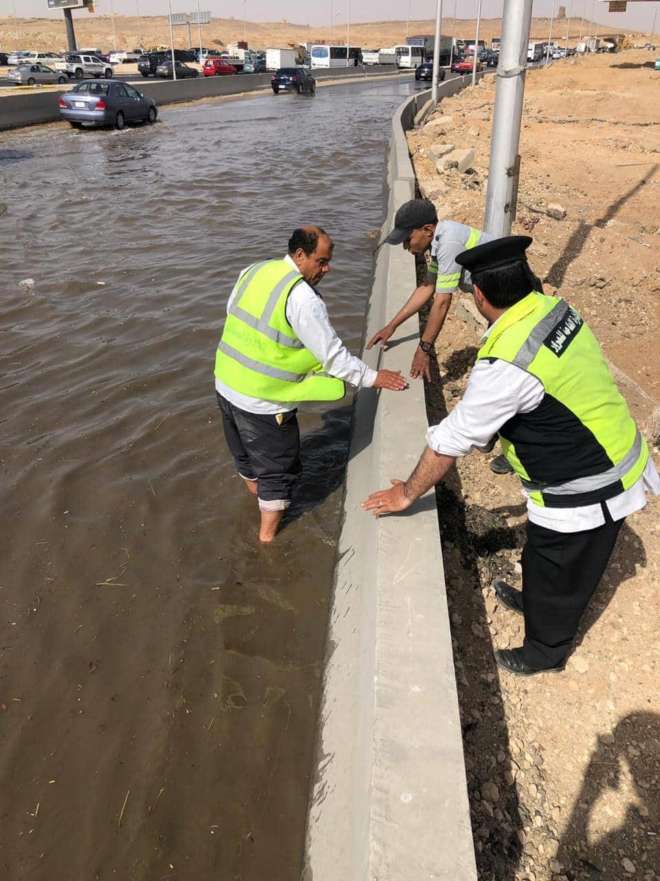 58441529_647433602366351_6479011569639358464_n