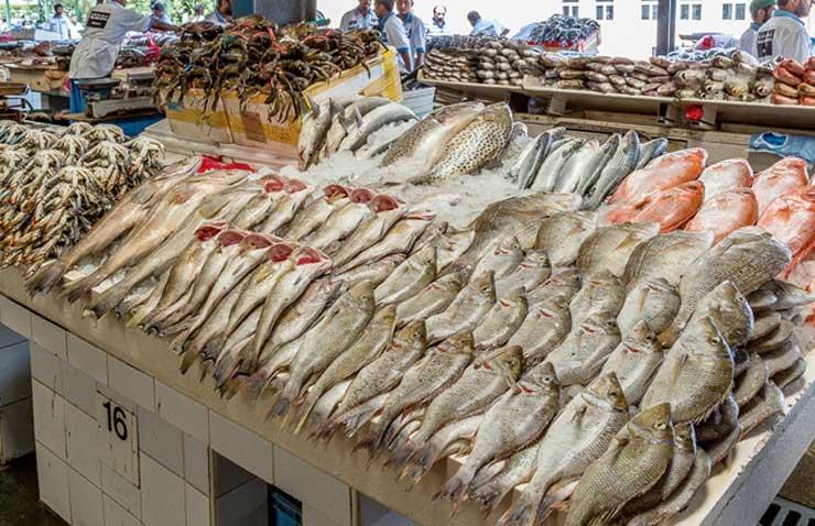 أسواق السمك  - ارشيفية