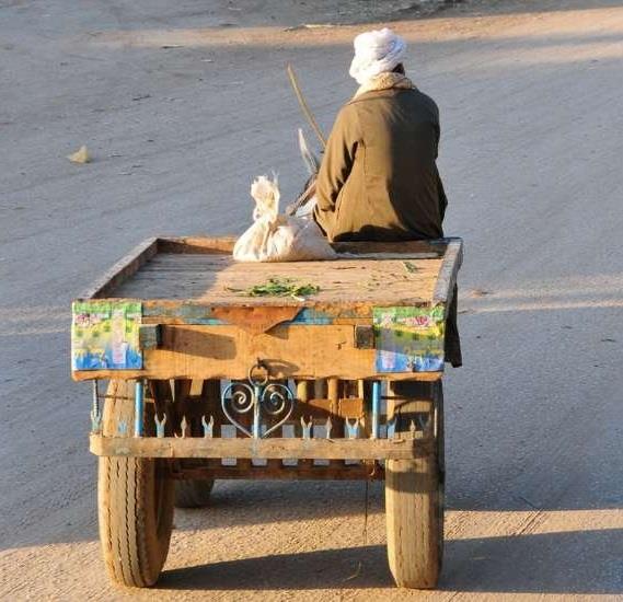 عربة كارو - ارشيفية