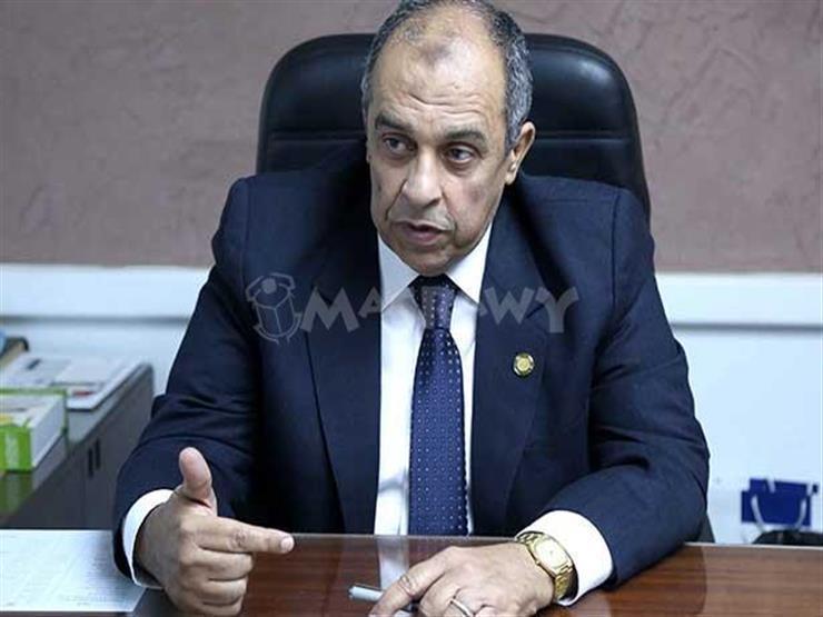 الدكتور عزالدين أبوستيت وزير الزراعة واستصلاح الأر