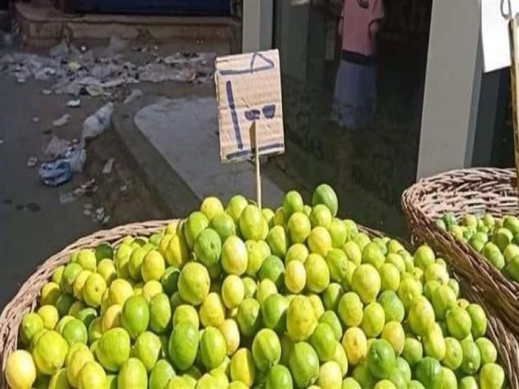 لماذا وصل سعر كيلو الليمون إلى 100 جنيه