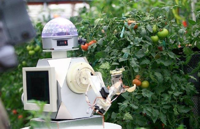 الروبوتات تدخل مجال جني المحاصيل