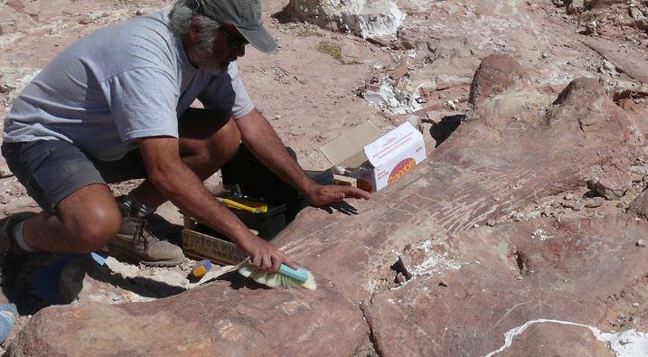 تحدث إلى أقدم ديناصور على الأرض.. أنت تسأل وماكسيم