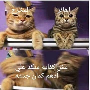 كوميكس عن مسلسل حكايتي