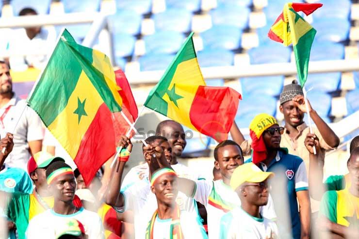 جمهور السنغال بعد تأهله للمربع الذهبي (3)