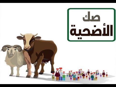 هل يجوز شراء صك الأضحية بالتقسيط؟