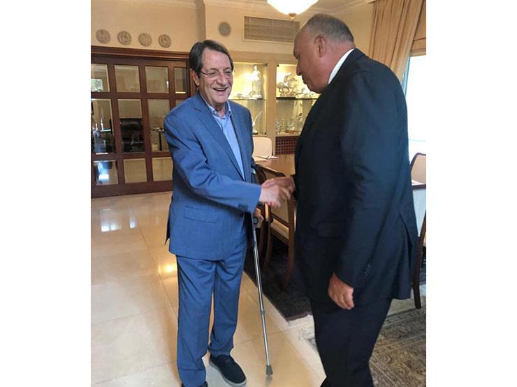 وزير الخارجية المصري يلتقي نظيره القبرصي