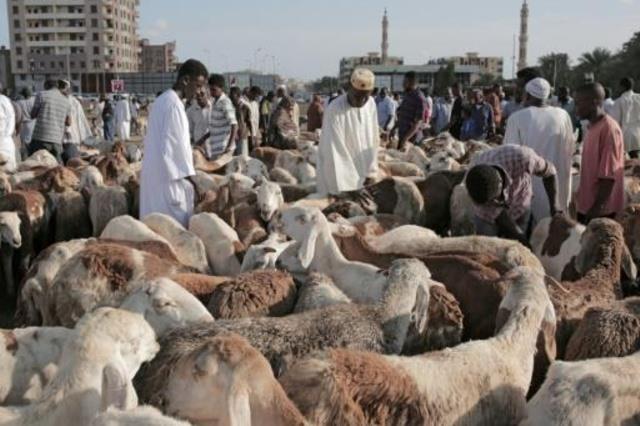 السودانيون يشترون الضاحي في سوق في الخرطوم في 11أغ