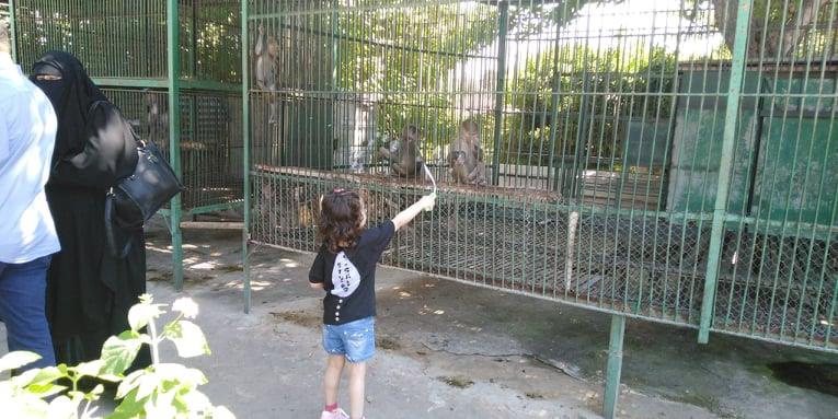 حديقة الحيوان بالإسكندرية