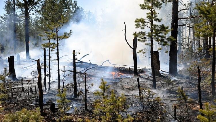 اشتعال حرائق الغابات في روسيا