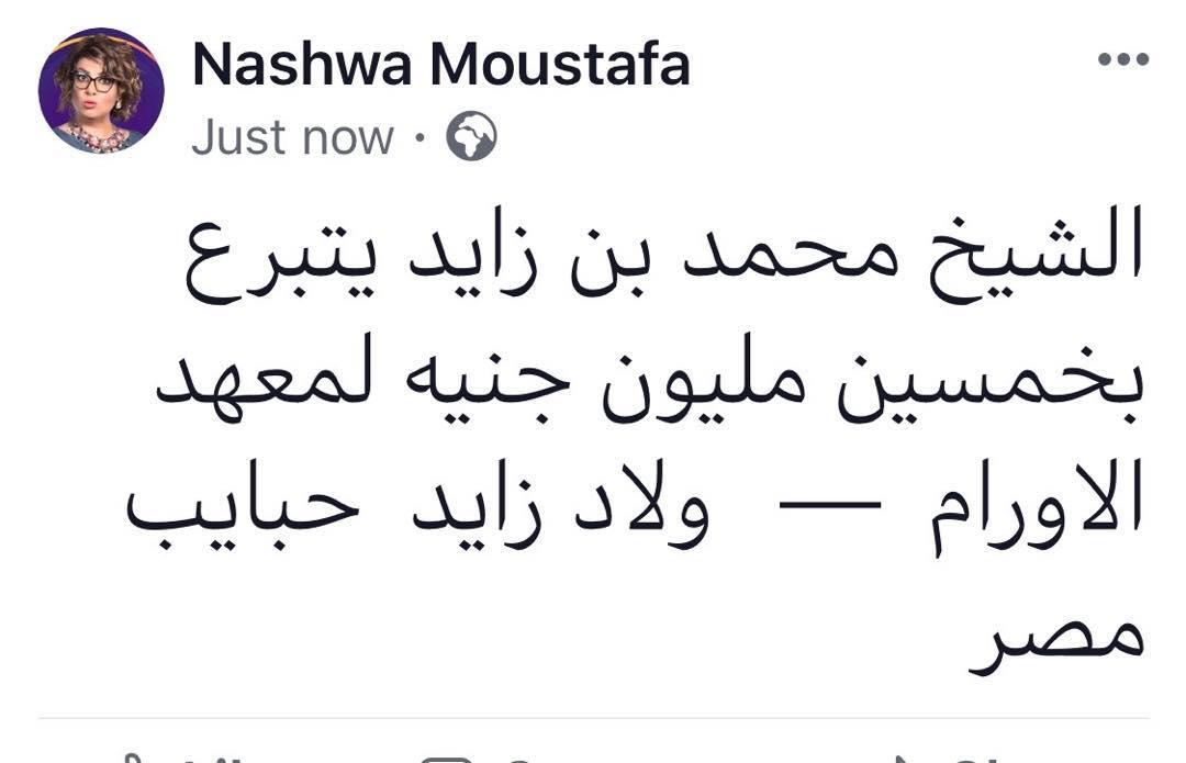 nashwamoustafa_66491215_151295295984171_4717587212315905469_n