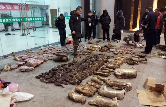 الصين تعلق التجارة في منتجات الحيوانات البرية