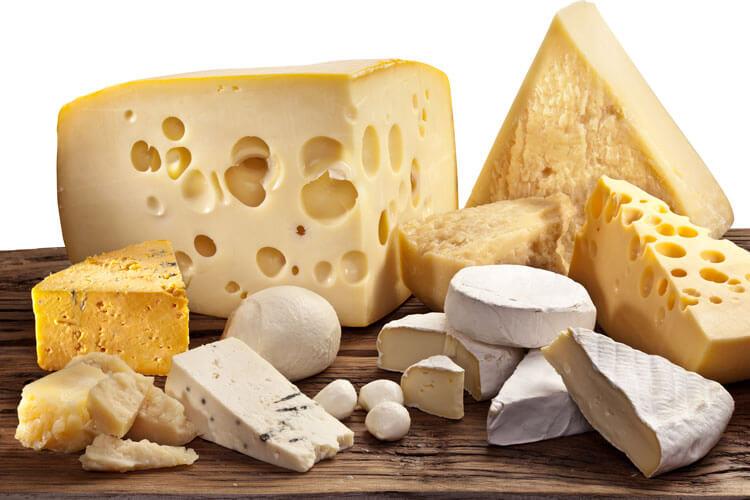 انواع الجبن
