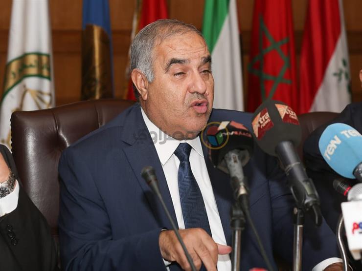 رئيس المحكمة الدستورية المستشار سعيد مرعي عمرو