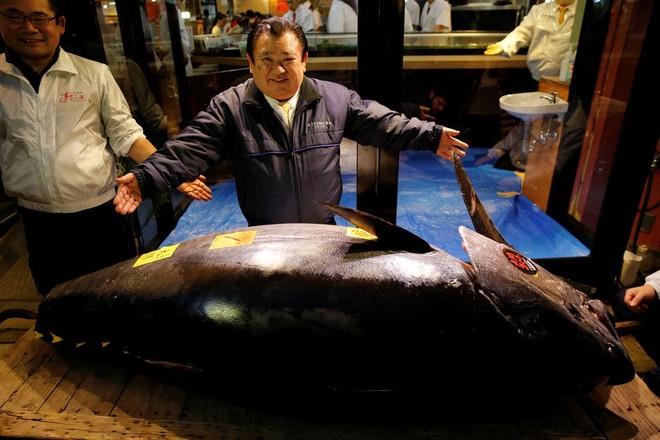 بيع سمكة تونة ضخمة مقابل 8ر1 مليون دولار