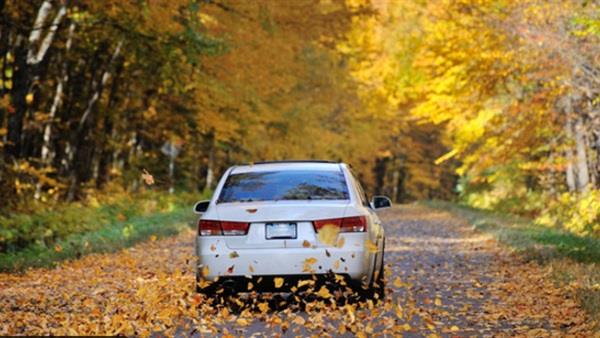 نصائح لقيادة السيارة بأمان في "فصل الخريف"
