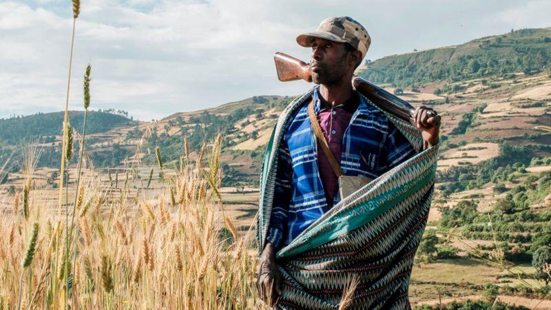 مزارع ومقاتل ميليشيا في شمال غرب جوندر ، إثيوبيا،