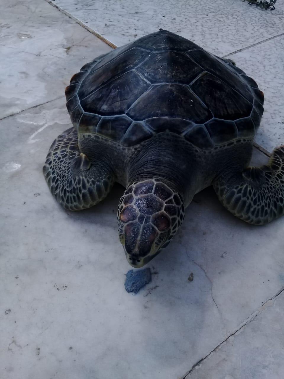 cc2d5b65-bed0-465a-a189-1adfa50087df