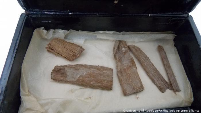 قطع خشبية عمرها 5000 عام