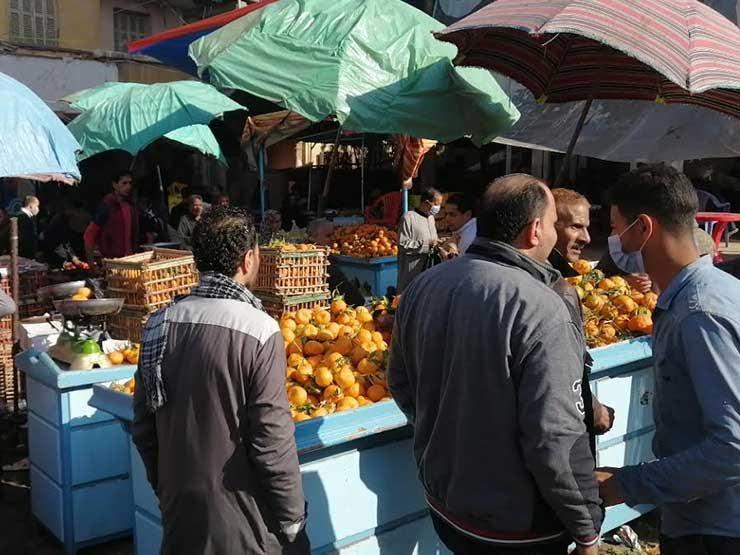 محافظ الغربية يفض سوق السمك في بسيون