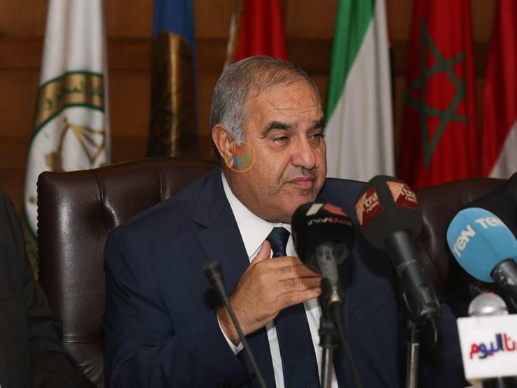 المستشار سعيد مرعي، رئيس المحكمة الدستورية العليا