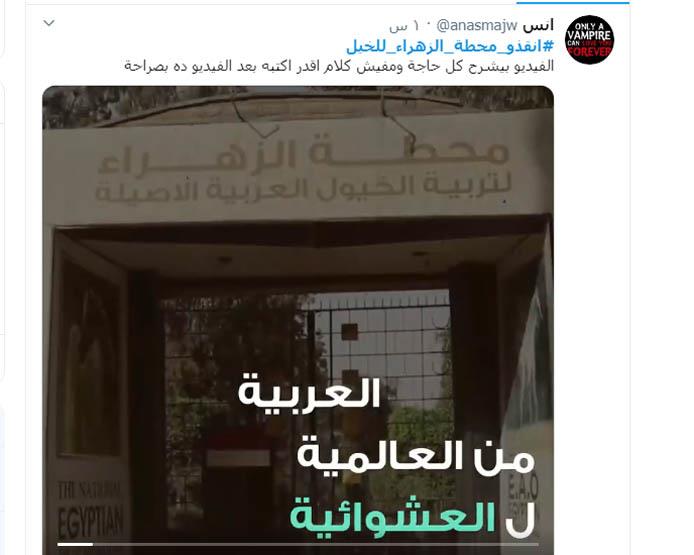 محطة الخيول