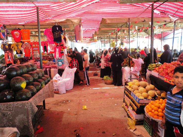 مشروعات ـ مبادرة مشروعك  (2)