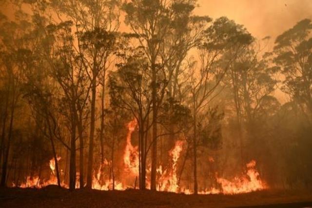 ثلاثة من كل أربعة أشخاص تأثروا بحرائق الغابات المد