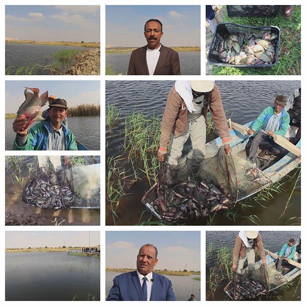 حكاية أول مزرعة للأسماك في قلب الصحراء بواحة الخار