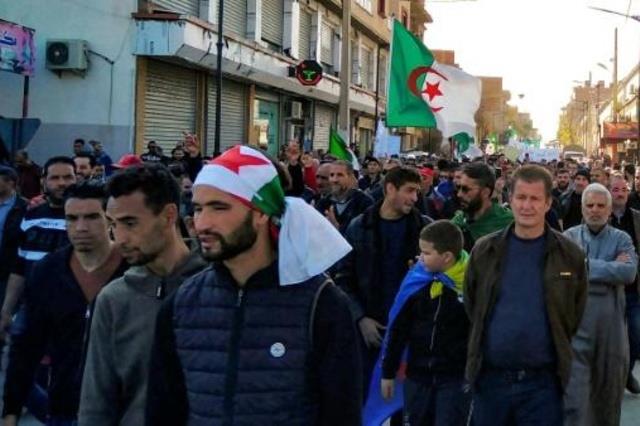 جزائريون يتظاهرون ضد الحكومة في 14 شباط/فبراير 202