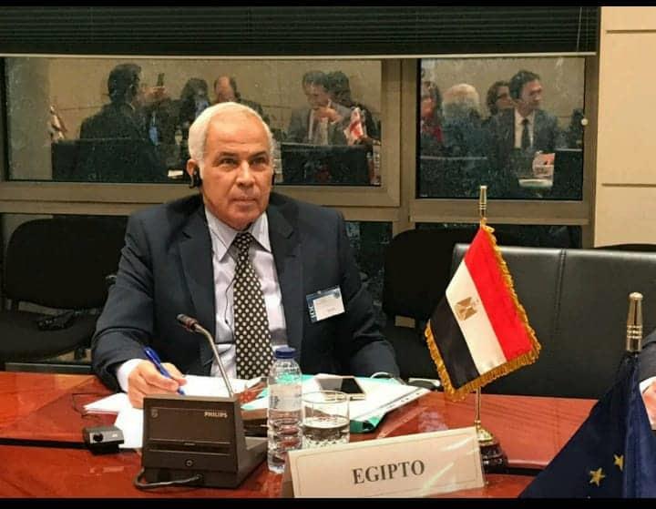 الدكتور عادل خيرت، رئيس المجلس المصري للزيتون