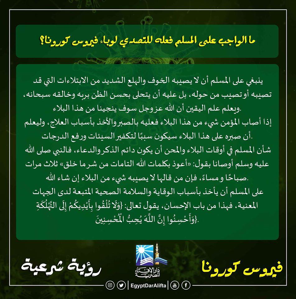 90011575_3367998309896594_7229435385242189824_o