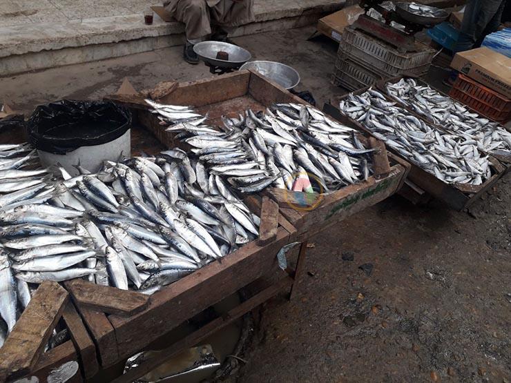 ارتفاع أسعار الأسماك في دمياط