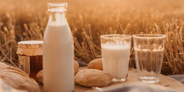 ما الكمية المناسبة للجسم من الحليب والملح والقمح؟
