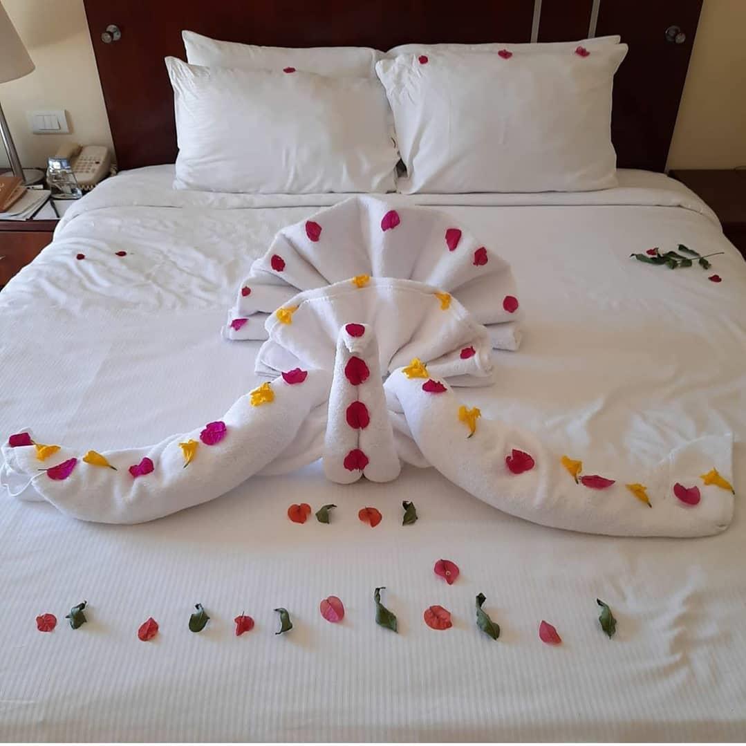 ahmedfalawks_official_88187924_154662789330427_4553907820604902398_n