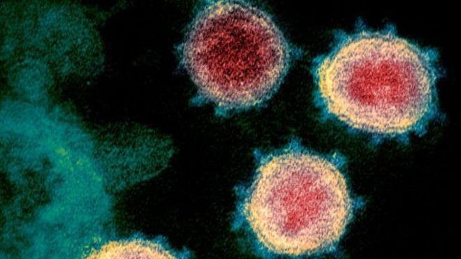 يحاول العلماء معرفة سبب اختلاف تأثير فيروس كورونا 