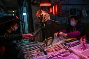 رجل يشتري الطاعم من كشك في مدينة ووهان الصينية