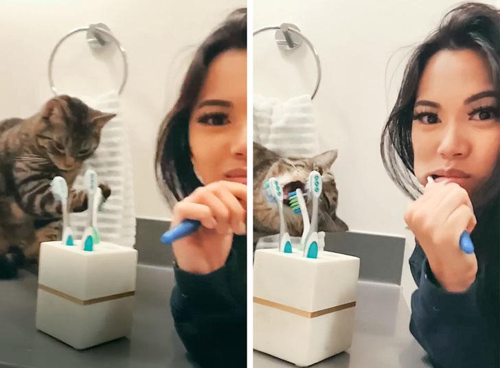 15269043-5222660-4da347561b02dee3f718d139c1b8fb335bb60ff2-1500-1-1586340758-728-36f19e8fec-1586419337