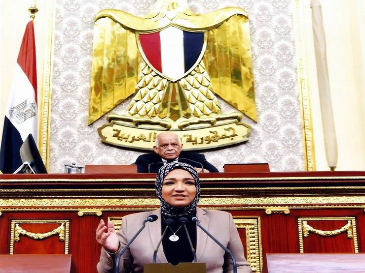 المهندسة مي محمود - عضو مجلس النواب