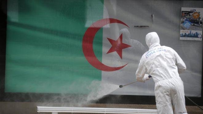 عمليات التعقيم في الجزائر