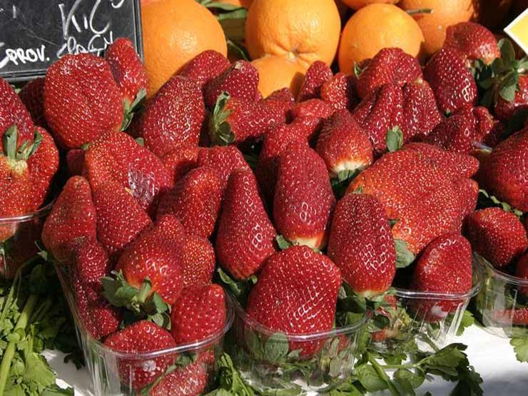 الفراولة المصرية