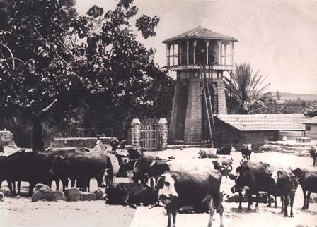 1-برج المياه في باحة القرية عام 1910 بناه اليهود للتغلب على مشاكل الزراعة