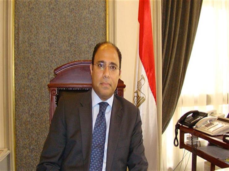 السفير المصري أحمد أبوزيد