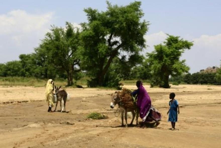  يشهد اقليم دارفور في غرب السودان نزاعا منذ العام 